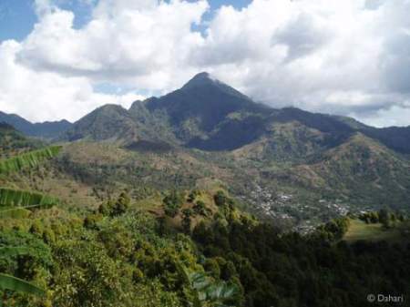 Aperçu de la déforestation aux Comores